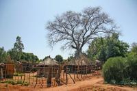 A Mukuni Hut during Construction